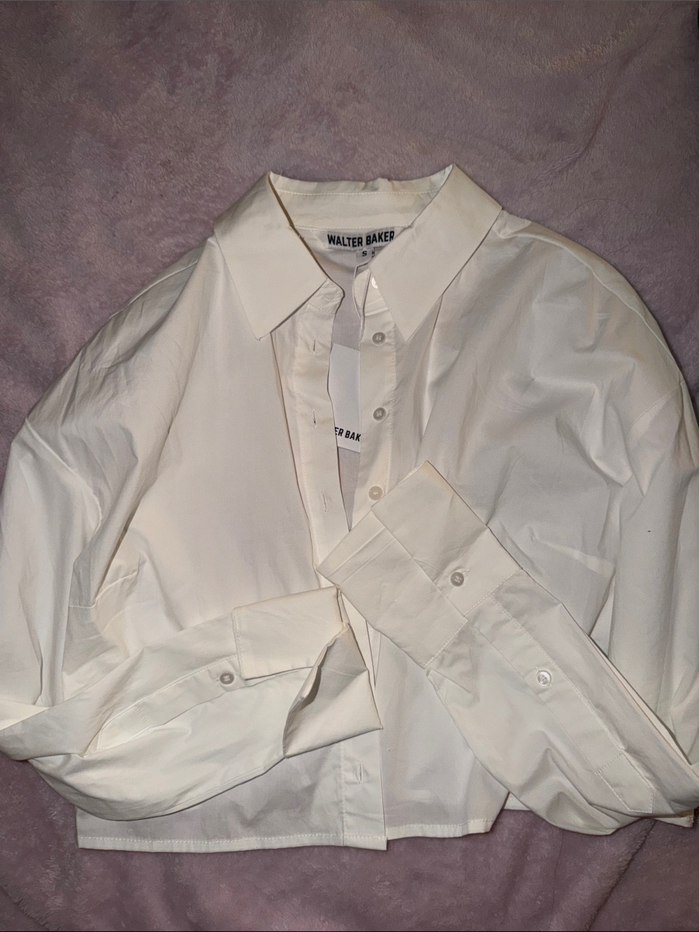 Walter Baker Cream Cropped Button-Down Shirt